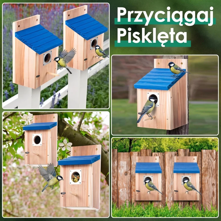 budka lęgowa dla sikorki